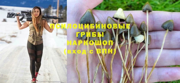 крисы Балахна