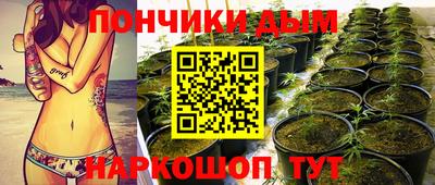 прущие грибы Обь