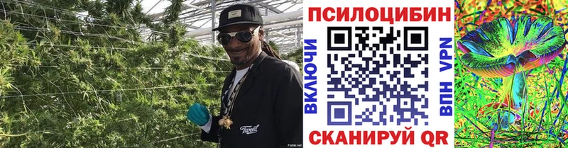 Псилоцибиновые грибы GOLDEN TEACHER  Унеча 