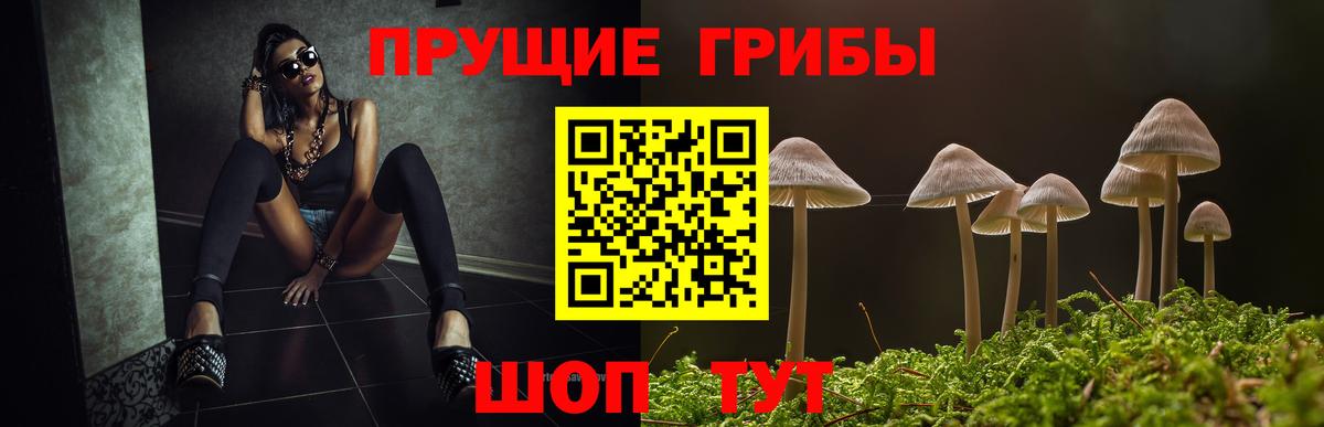 Галлюциногенные грибы Cubensis Унеча