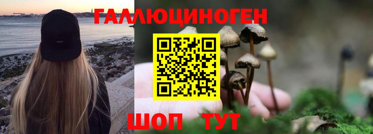 Меф МЯУ МЯУ   НБОМе  Марихуана  Вход с VPN  COCAIN  Унеча  ГАШИШ  Каннабис 